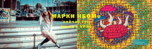 прущий лед Магас