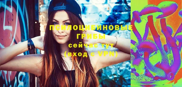 молекула духа Белоозёрский