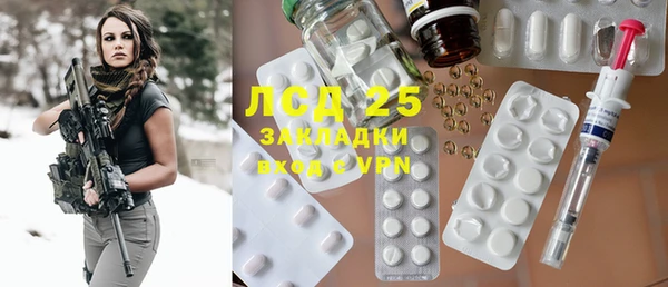 индика Верея