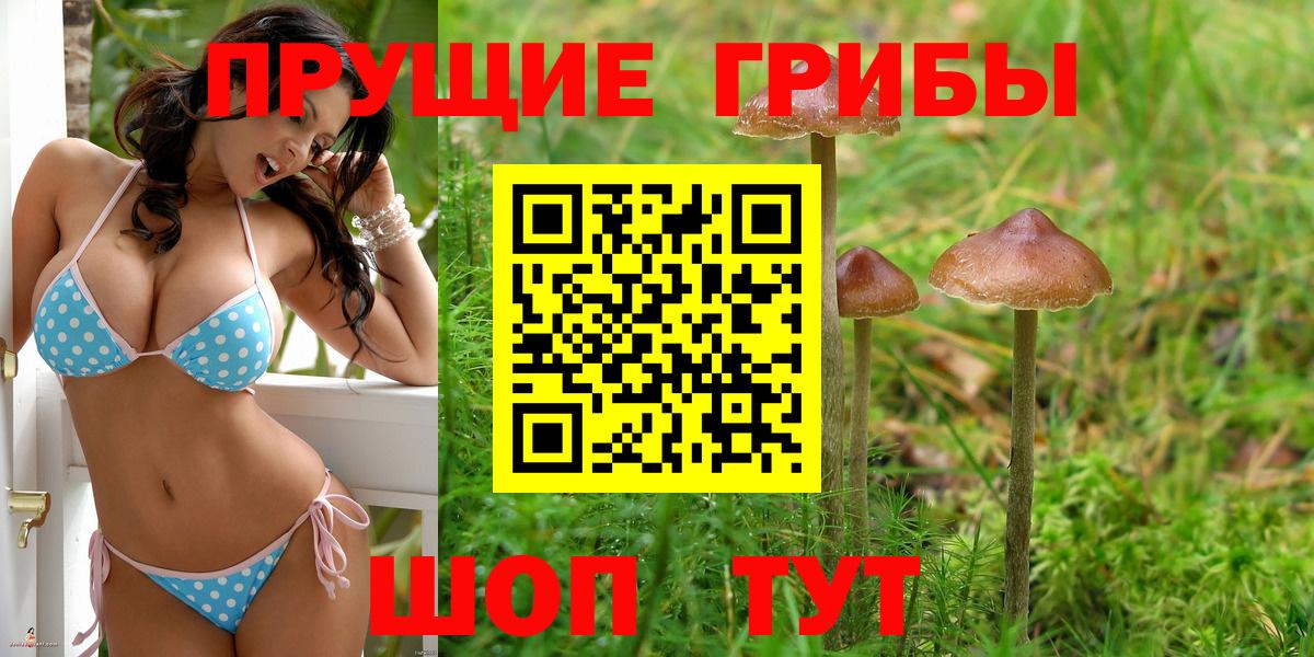 Галлюциногенные грибы Cubensis  Шадринск  Галлюциногенные грибы ЛСД 