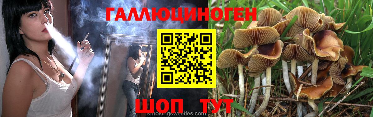 Шадринск  Псилоцибиновые грибы Psilocybe  Вход с VPN 