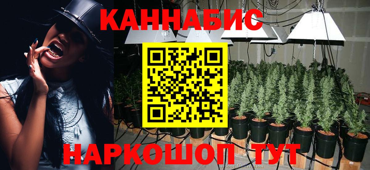 Шадринск  Шишки марихуана индика  Конопля AK-47  Шишки марихуана гибрид  Вход с VPN  Шишки марихуана White Widow 